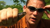 Venom in Vegas: Capturing a Spitting Cobra