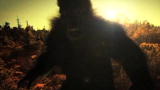 Finding Bigfoot: 