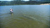 River Monsters: Massive White Sturgeon