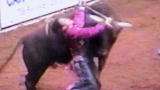 Untamed And Uncut Bull Attack Poker