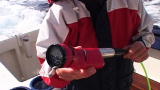How to Be a Madman: Underwater Tow Camera