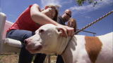 Pit Bulls and Parolees: Katrina Survivor Finds Home