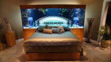Tanked: Reveal: Overhead Bed Frame Tank