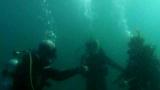 Your Worst Animal Nightmares: Shark Attacks Scuba Divers