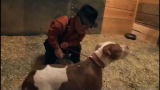 Pit Boss: Dramatic Stable Rescue