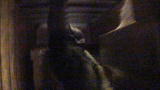 Freak Encounters: Lizard Man on the Loose