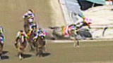 Untamed and Uncut: Horse Rolls On Rider