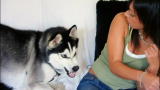 It's Me or the Dog: Diesel