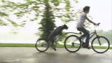 SuperFetch: Tandem Bike Ride