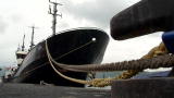 Whale Wars: Sea Shepherd In the Off-Season