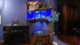 Tanked: Reveal: A Boat for Chille