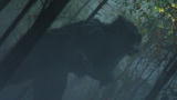 Lost Tapes: Hellhound