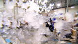 play video on Animal Planet