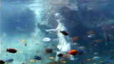 Most Outrageous: Busch Gardens: Birth of a Hippo