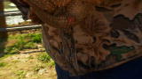 Call of the Wildman: Giant Turtle Snaps Camera and Pees