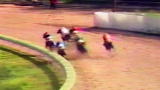 Untamed and Uncut: Racehorse Collision