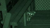 Rat Busters NYC: The Nightstalkers