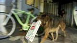 SuperFetch: Fetch Me a Diaper & Fetch Me a Pizza (Full  ...