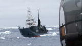 Whale Wars: Whalers Go on Offense