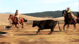 Last American Cowboy: The Cowboy Way