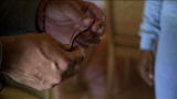 Swamp Wars: Tiny Snake Causes Big Uproar