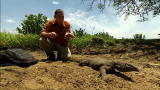 Wild Recon: Bengal Monitor Venom