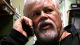 Whale Wars: Media Reacts to Latest Crash