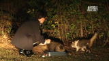 Confessions: Animal Hoarding: A Flight Attendant's Double Life