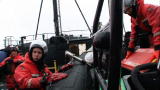 Whale Wars: Delta Crane Breaks