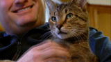 Must Love Cats: Feline Fireman