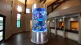 Tanked: Reveal: Cooper Family Medical