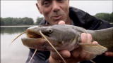 River Monsters: Baby Earthquake Fish