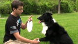 The Zak George Project: The Doggie Wave