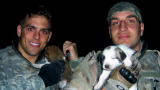 play video on Animal Planet