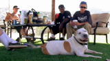 Pit Bulls and Parolees, Season 3: How Parolees Throw a Bachelor Party