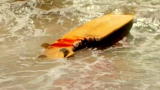 Your Worst Animal Nightmares: Great White Shark Attack