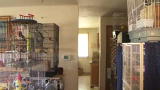 Confessions: Animal Hoarding: David