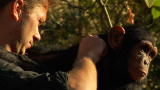 Animal Planet Screening Room :Escape to Chimp Eden