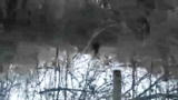 Finding Bigfoot: Bigfoot in Dunes State Park