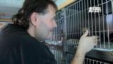 Confessions: Animal Hoarding: Not Giving Up Or Giving In