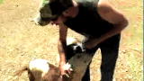 Confessions: Animal Hoarding: Shane