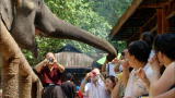Mutual of Omaha's Wild Kingdom: China's Wild Elephant Valley