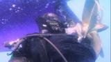 Whale Wars: Dangerous Underwater Mission