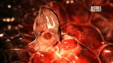 Monsters Inside Me: Eaten From the Inside