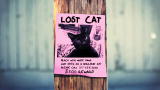 Animal Planet Cares: Tag Your Pet!