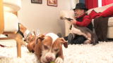 Pit Boss: Pit Boss: All-New Season!