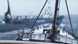 Whale Wars: On Course for Collision