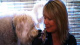 It's Me or the Dog: Jack of All Dog Issues