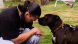 Pit Bulls and Parolees: Jesse and Annabelle