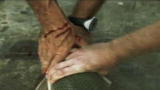 River Monsters: An Alligator Gar Draws Blood